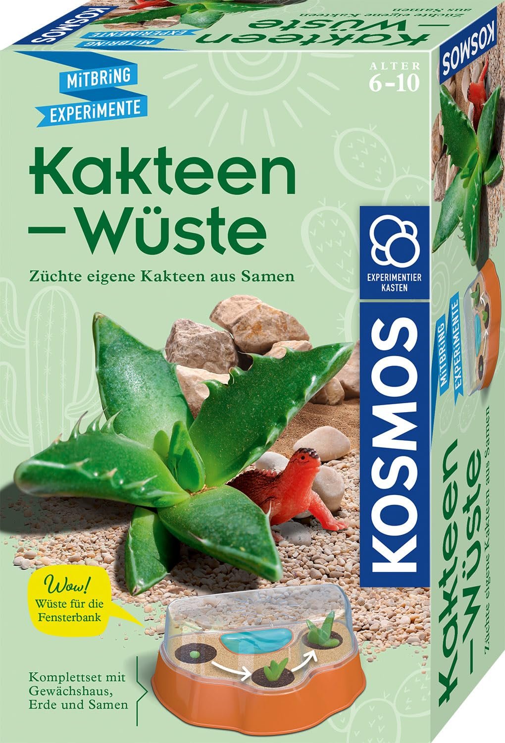 Set Desierto de Cactus para Niños — Cultivo de Suculentas