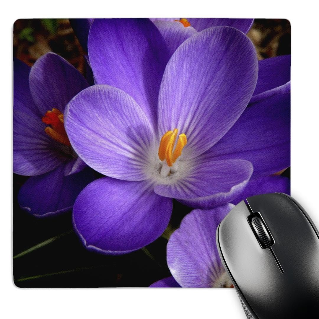 3dRose 8 x 8 in Almohadilla para mouse, flor púrpura