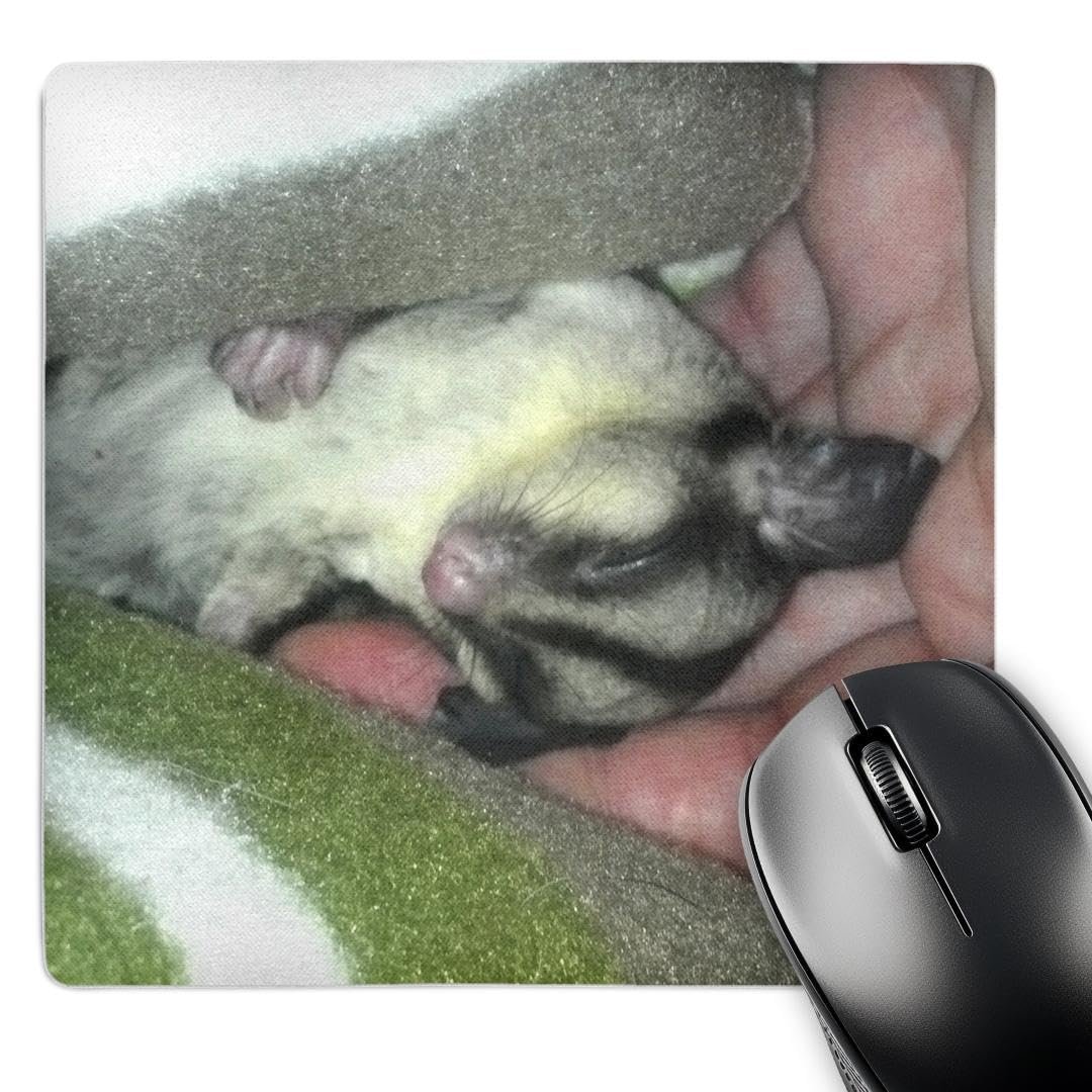 3dRose Alfombrilla de ratón Sugar Glider 8 x 8 pulgadas