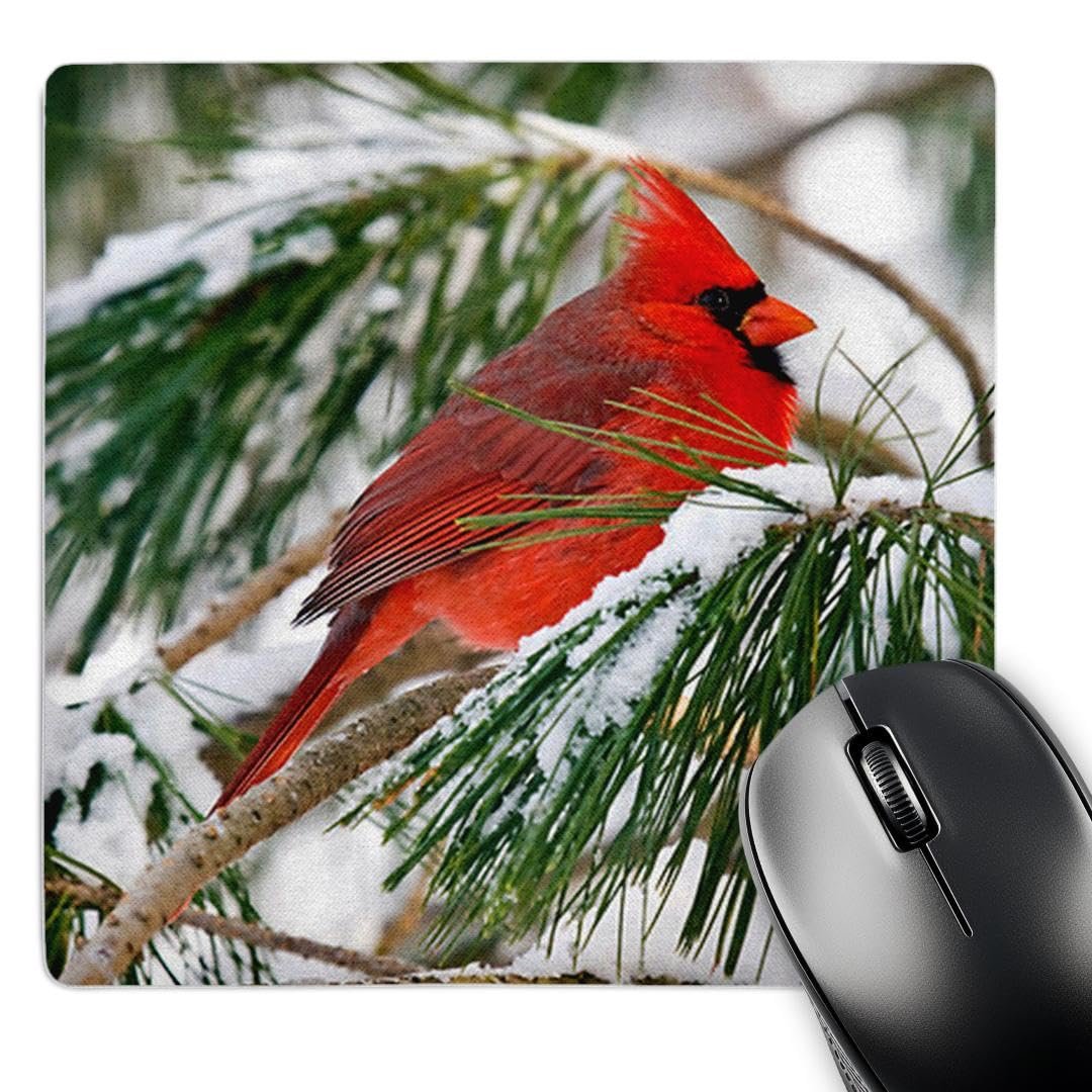 3dRose LLC Alfombrilla 8×8 MP112146 — Cardenal en pino