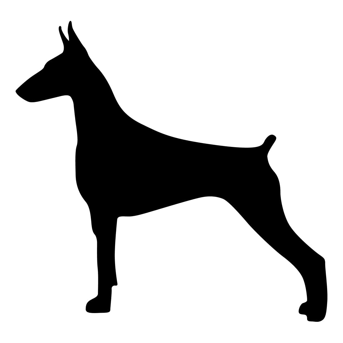 NBFU Doberman Vinil Impermeable (Set de 2)