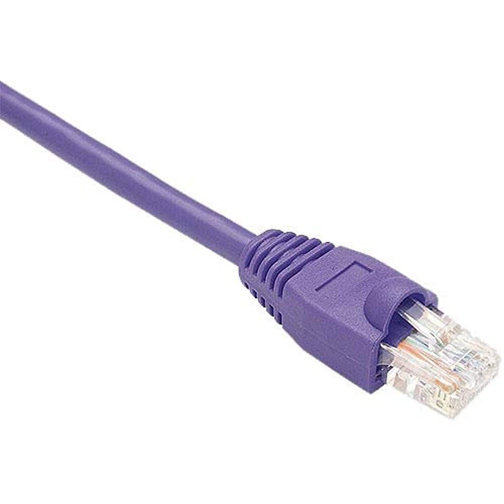Cable de parcheo Cat6 Gigabit UTP 2 ft Púrpura - Unirise