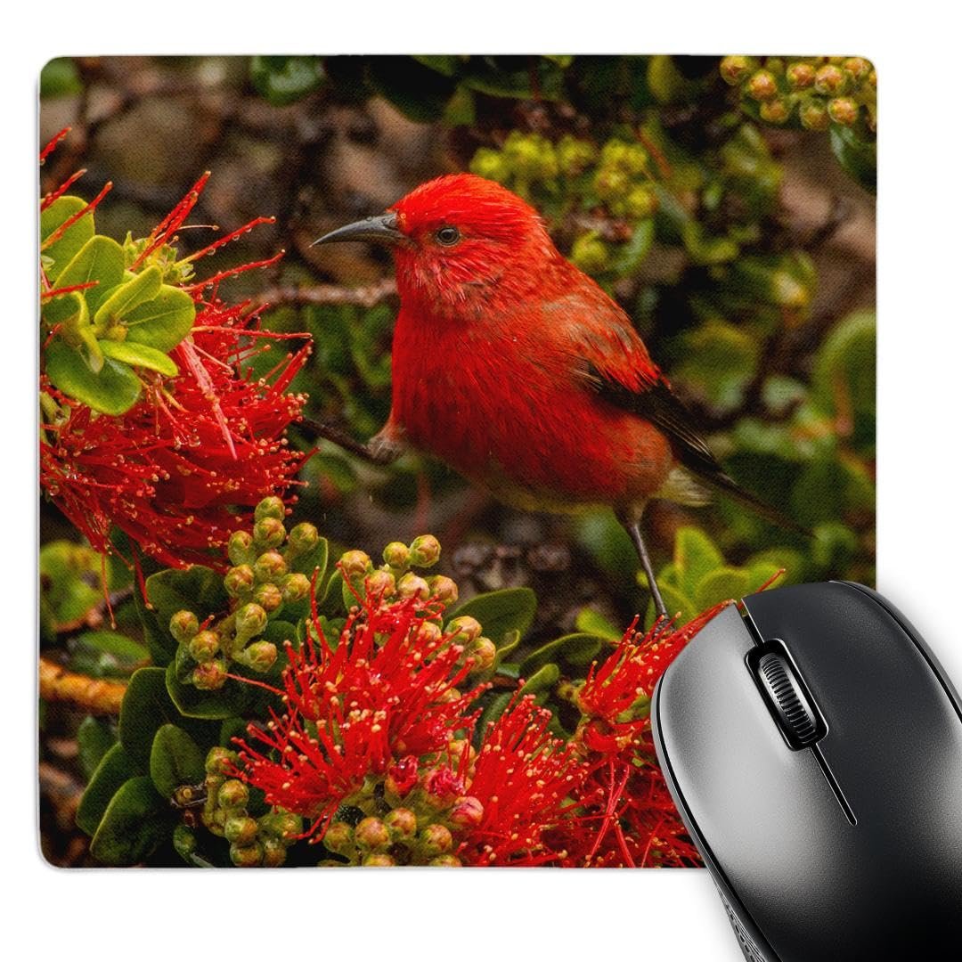 Mousepad 3drose: Apapane alimentándose en Hakalau Forest