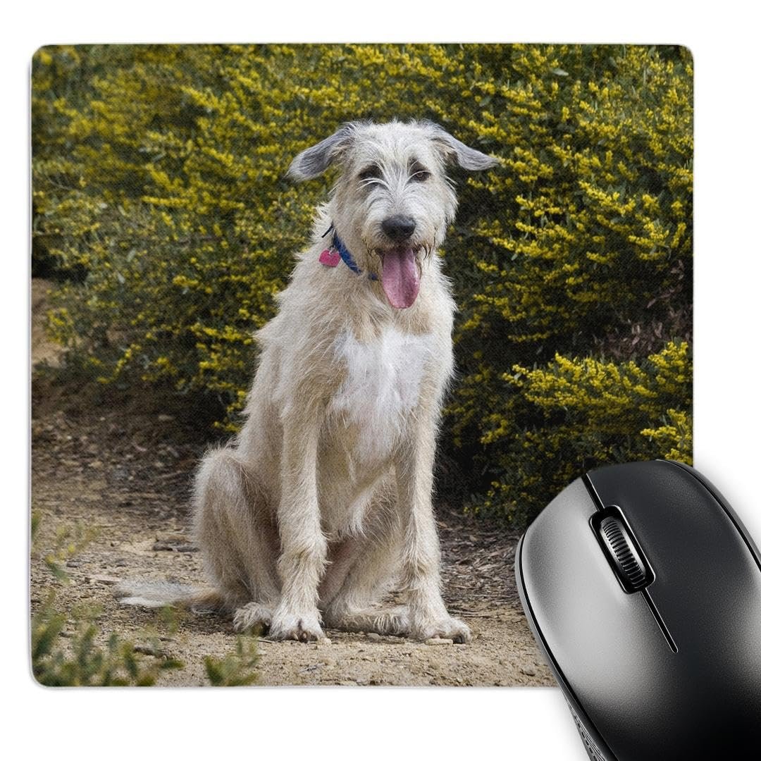 3dRose Cachorro Irish Wolfhound - Mouse Pad NA02 ZMU0124