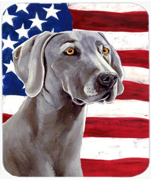 212 Main Tapete 9.5 x 8 in. Bandera USA y Weimaraner