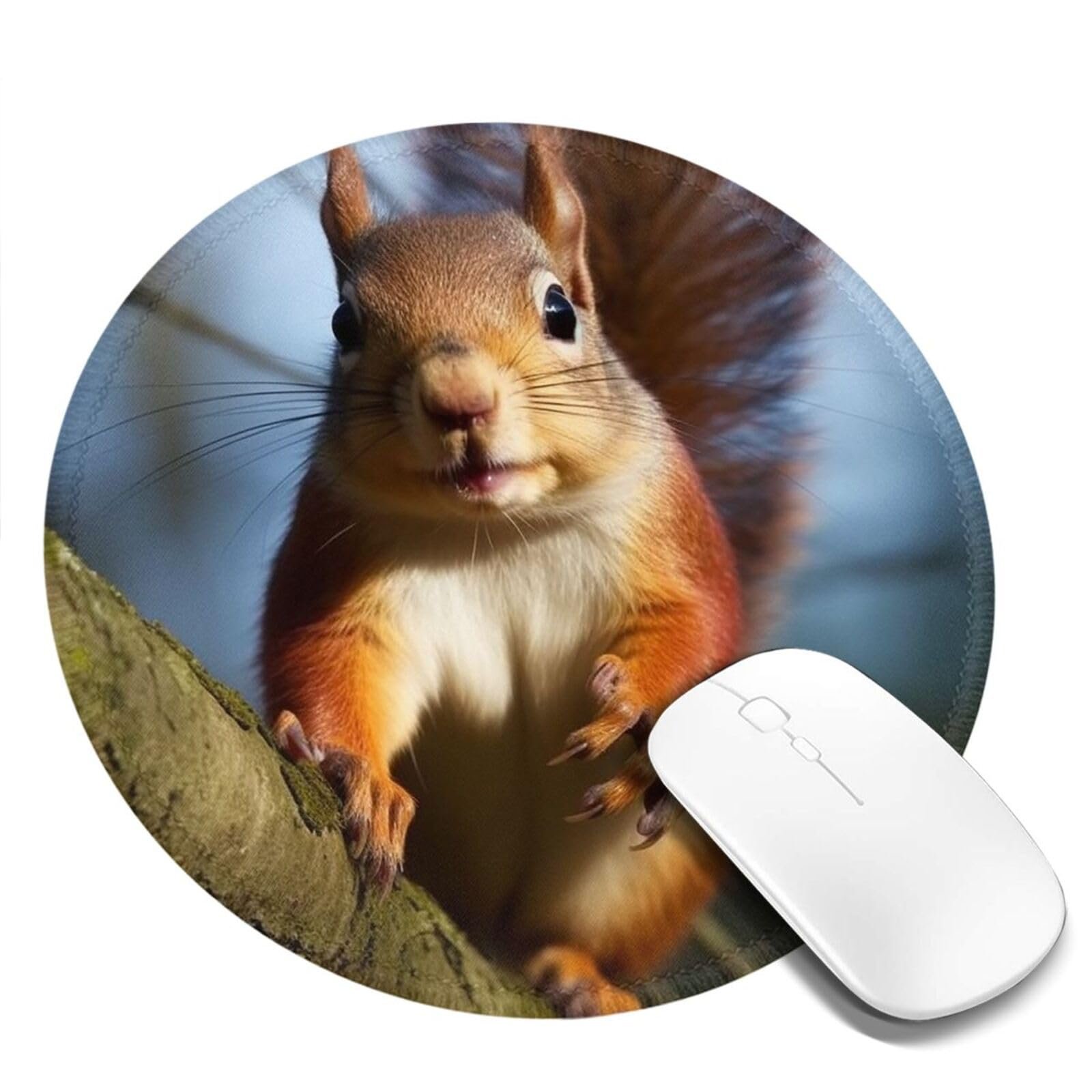 Mousepad Divertido de Ardilla, Antideslizante, 2 pzas