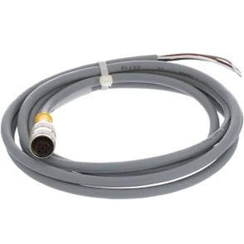 TURCK Cable M12 hembra 5 pos 2 m PVC gris